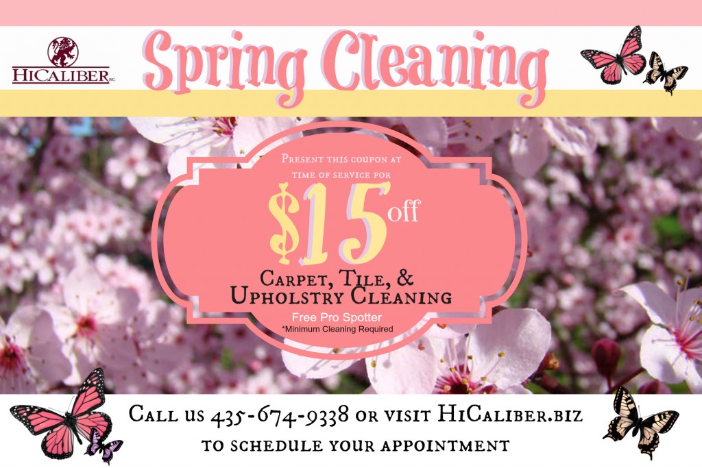 SPRING CLEANING COUPON