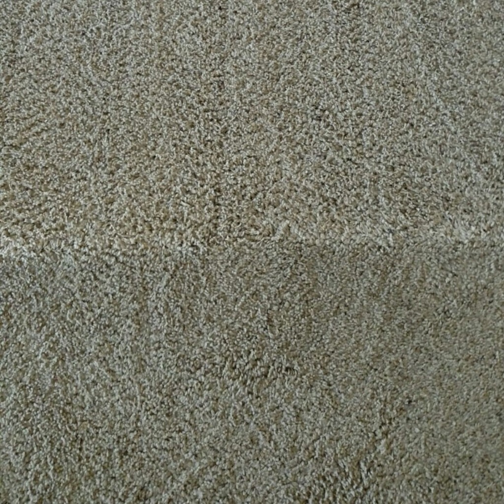 carpet 8-29-16